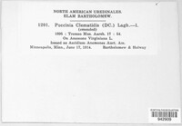 Puccinia clematidis image